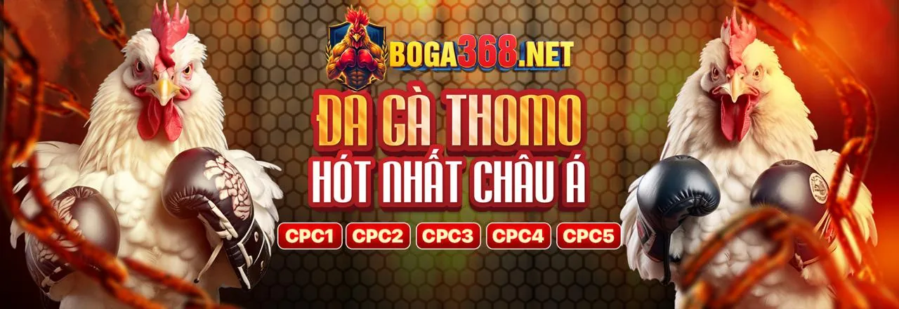 Các loại hình thể thao tại Wyn88